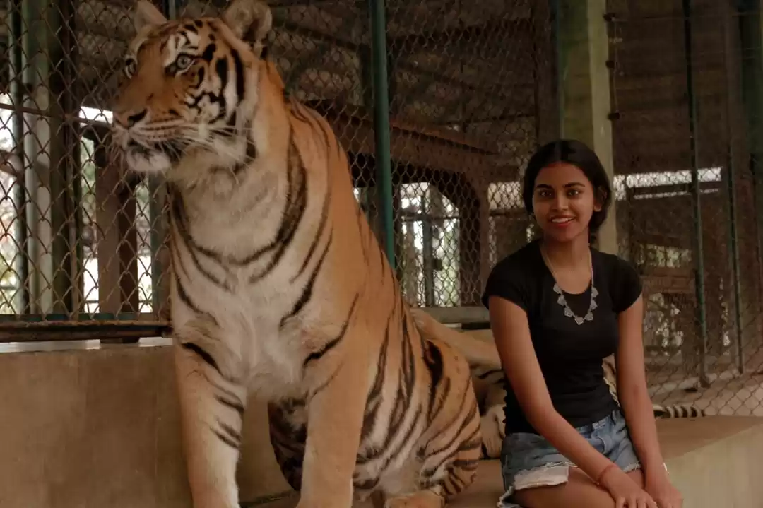 Photo of Thailand- (Indelible