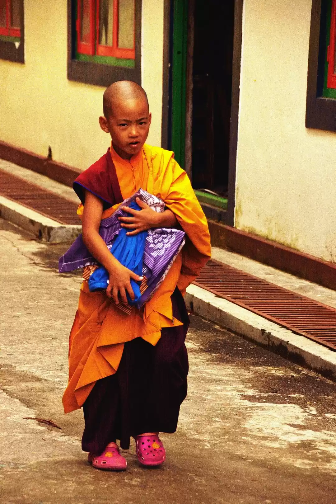 Photo of Monsoon drenched Sik