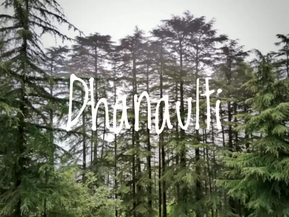 Photo of The Solo Experience