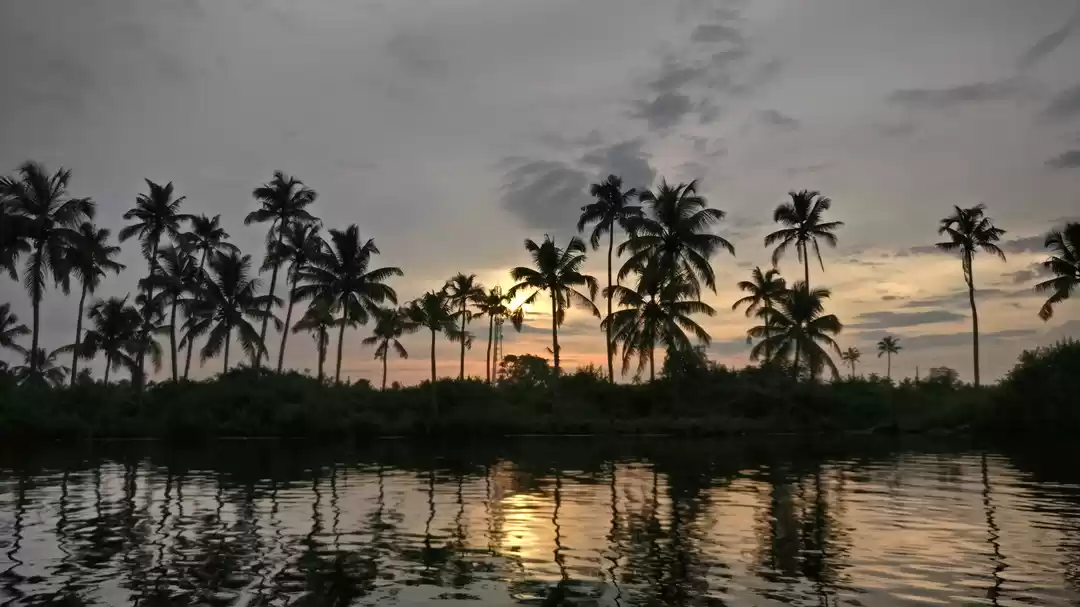 Photo of Our South Indian Adv