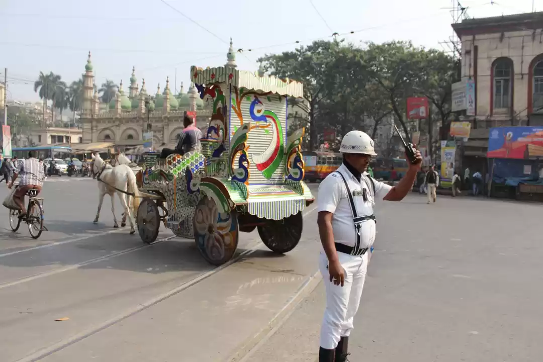 Photo of Enigma transformed i