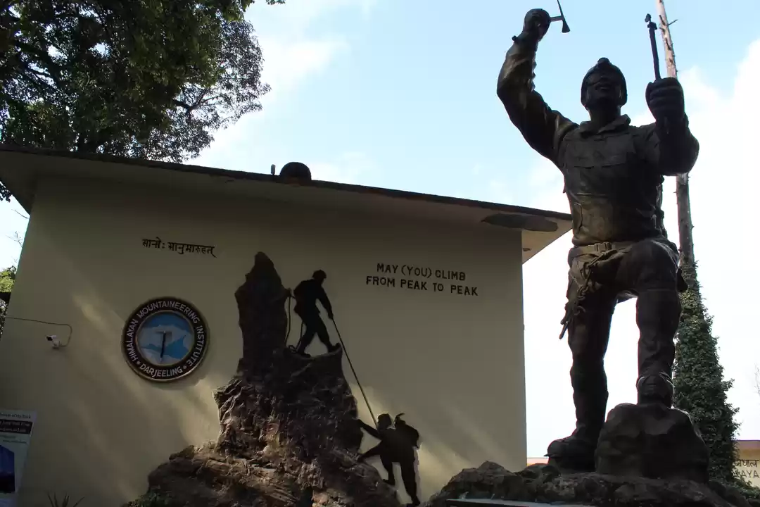 Photo of The darling of the M