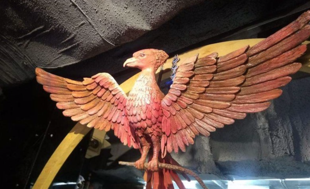 This New Harry Potter Themed Cafe In Ashok Vihar Delhi Will Teleport You To Hogwarts Tripoto Rowling first penned the harry potter book series, you may want. this new harry potter themed cafe in