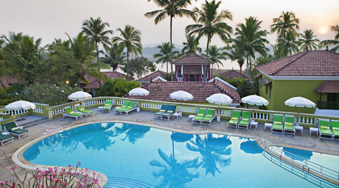 Photo of The world's best Ayu