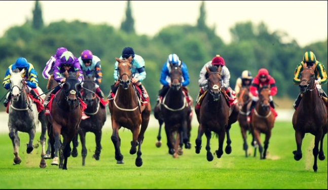 Photo of Watch horses race fr