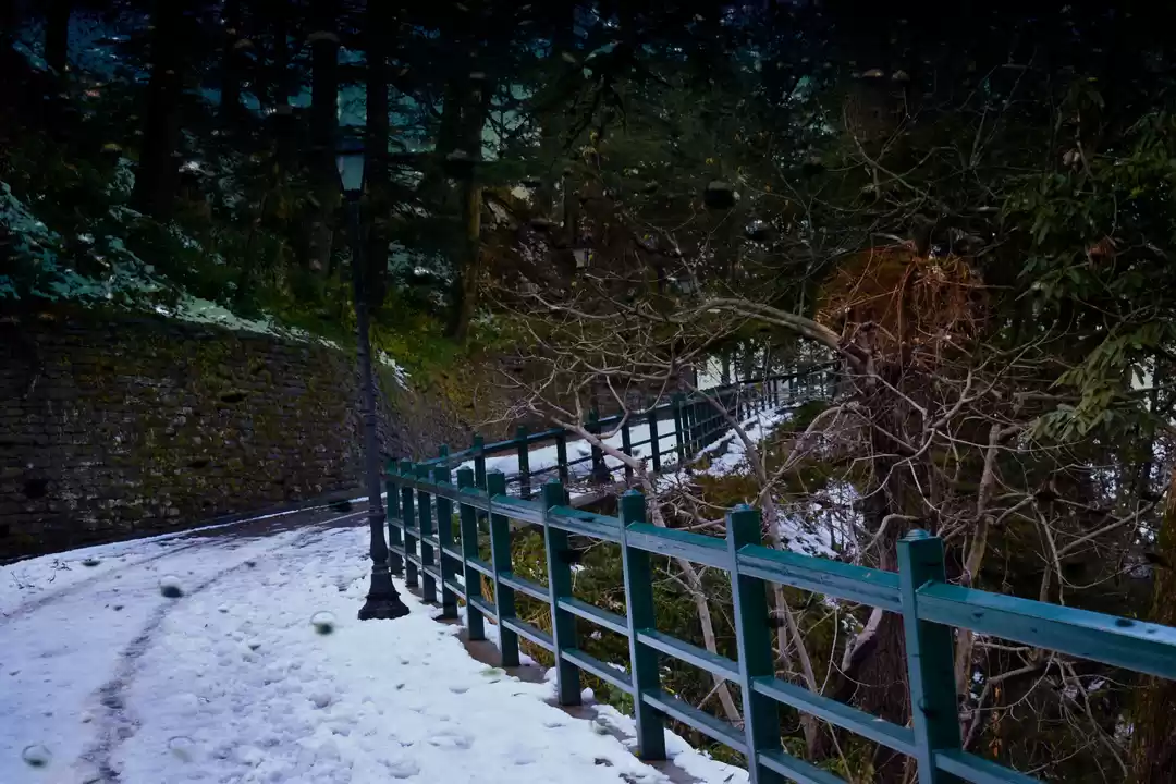 Photo of Winter in Shimla - D