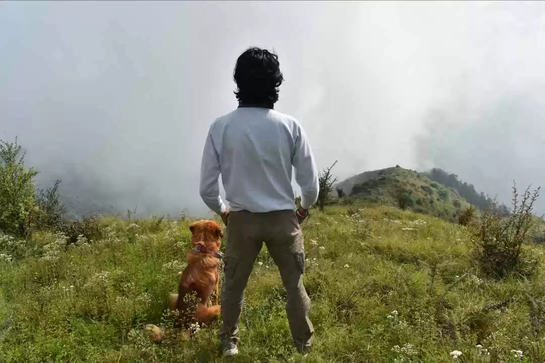 Photo of Top Tibba Day Trek