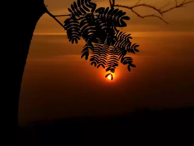 Photo of Sunset at Durga Tekd