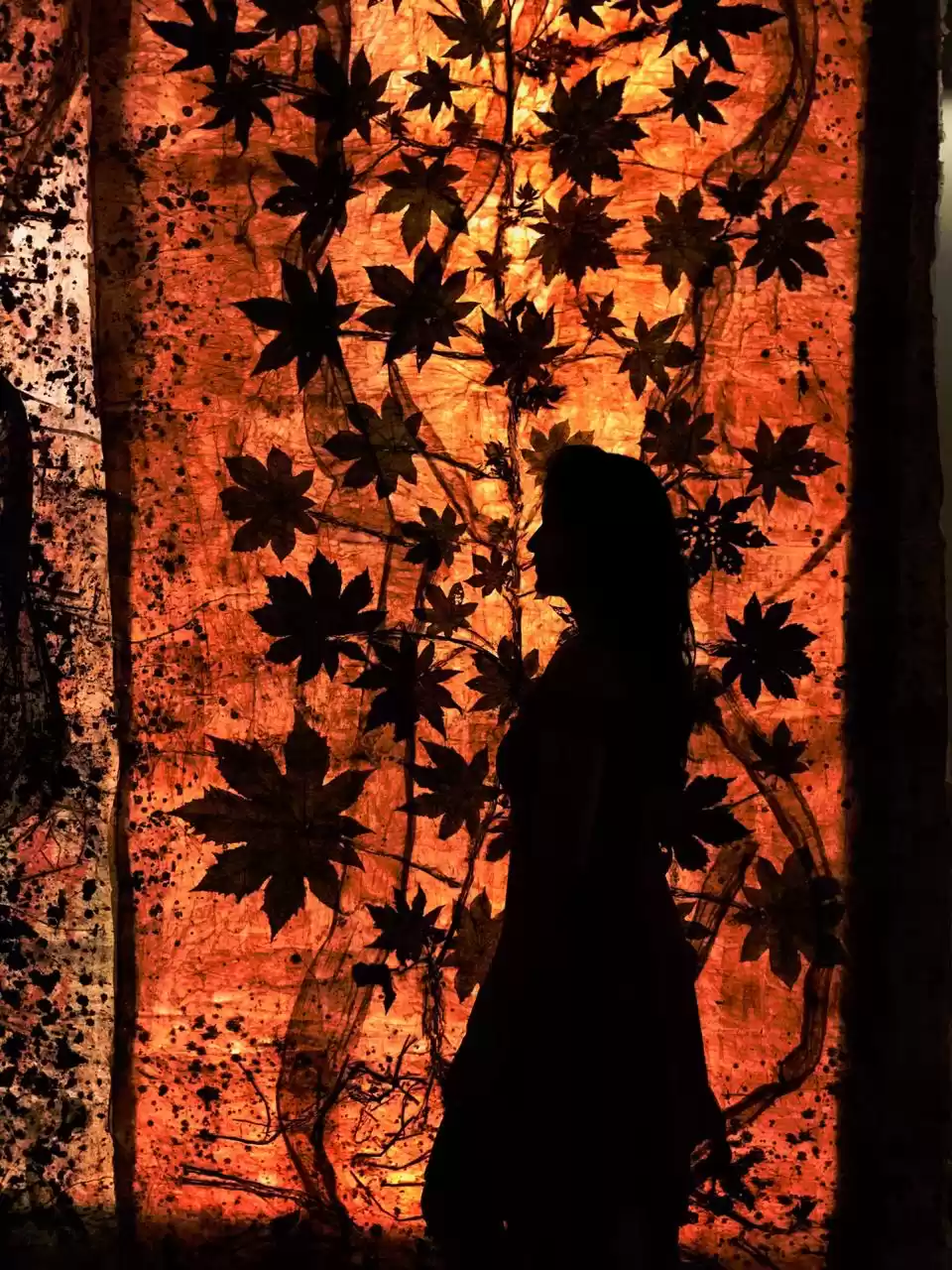 Photo of An Unknown Treasure 