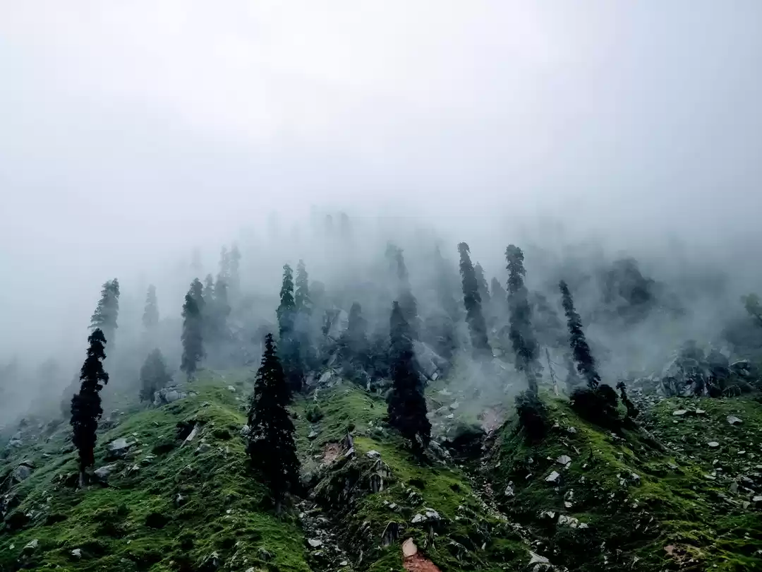 Photo of A hidden wonderland