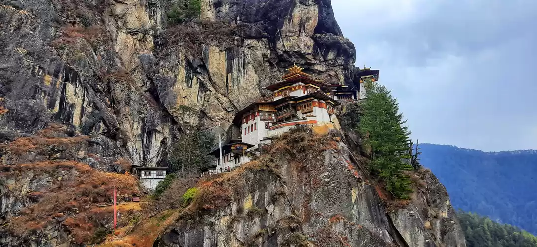 Photo of Here's How You Can P