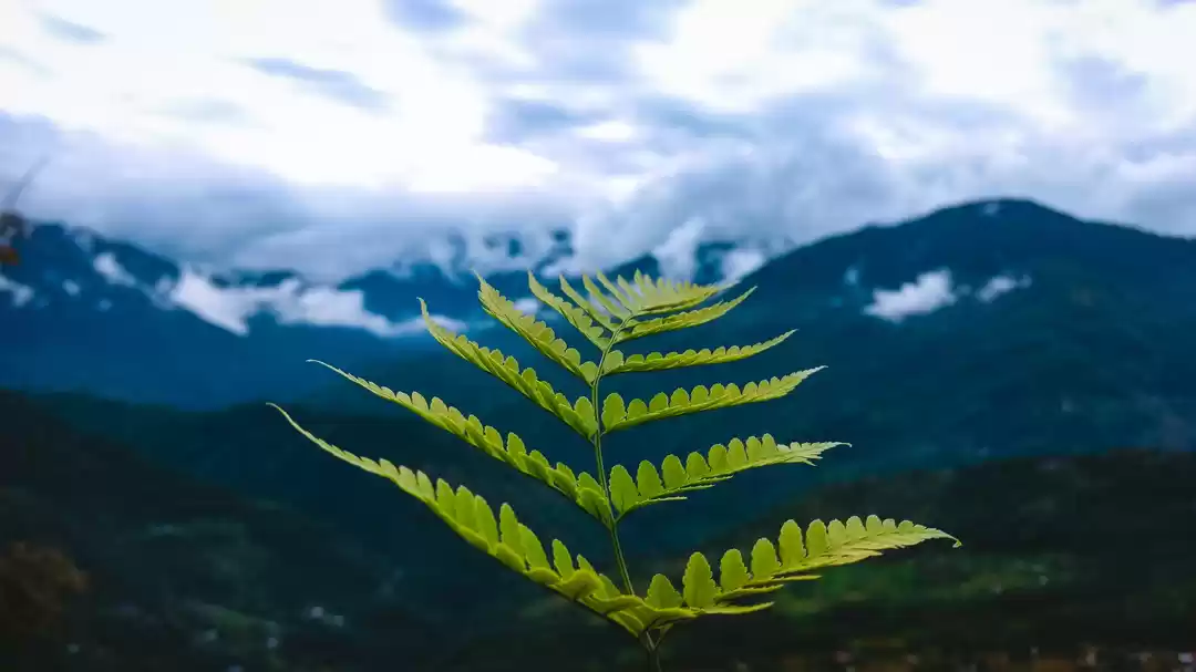 Photo of ADVENTURES UP EAST!!