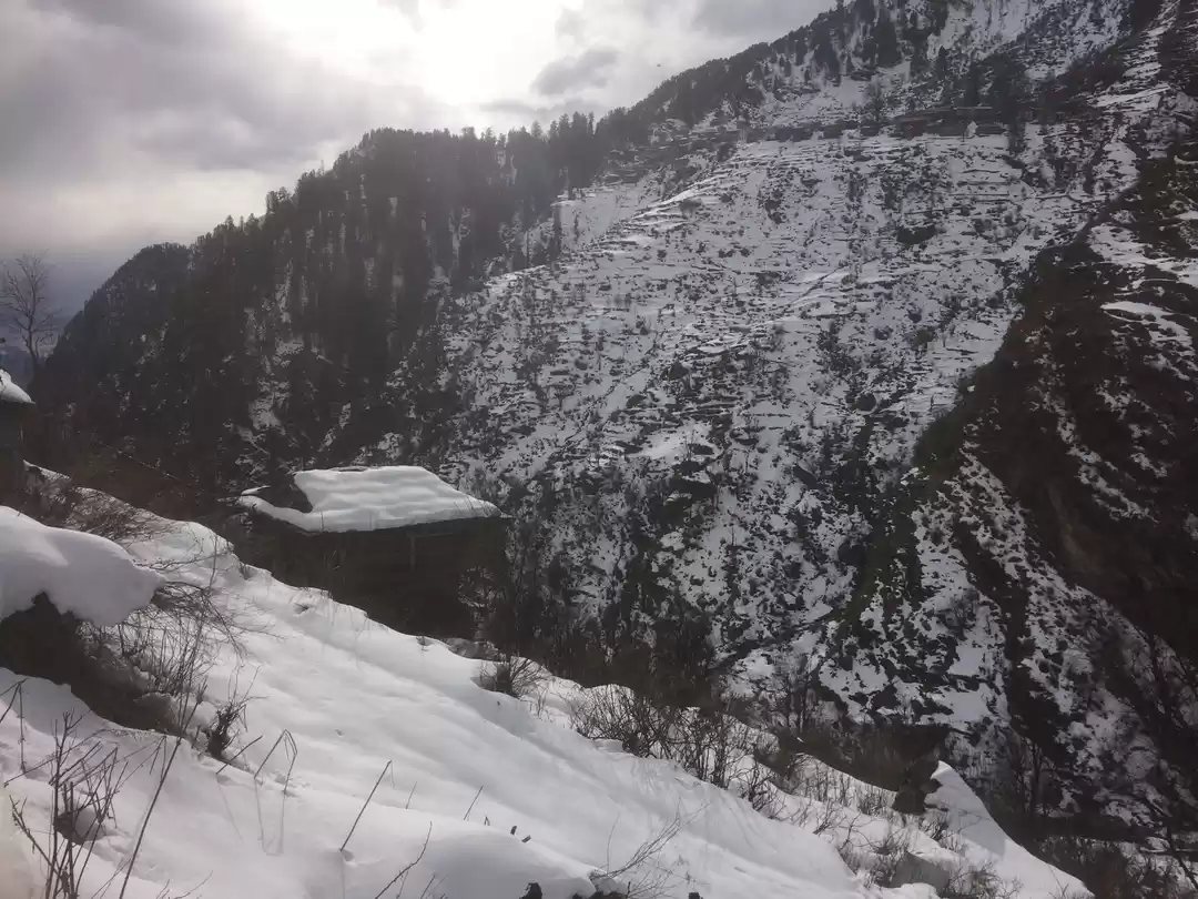 Photo of Vibing With My Soul