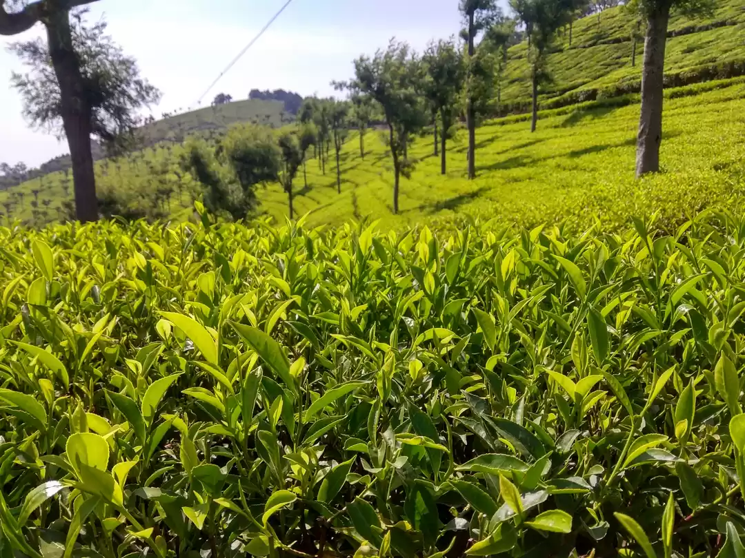 Photo of Weekend Escape to co