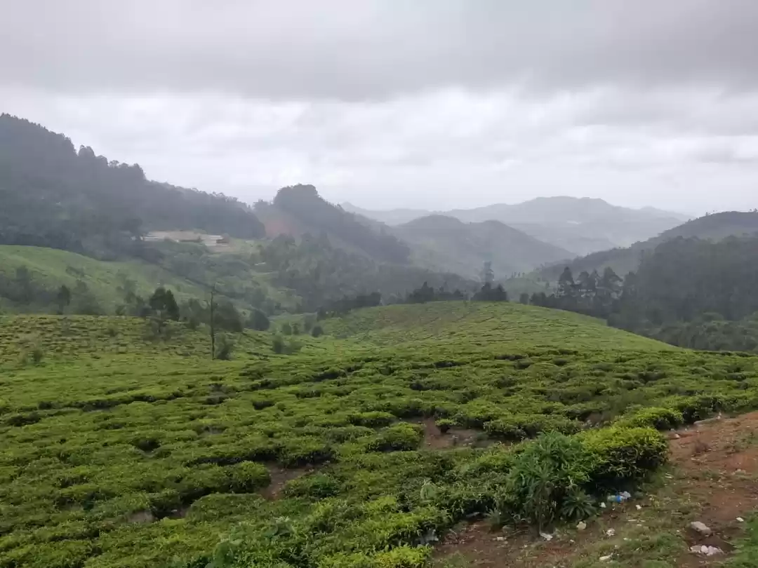 Photo of Monsoon Drive:Mysore