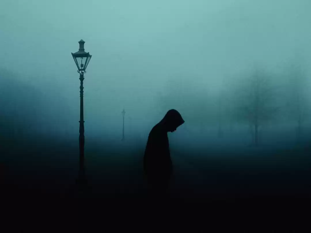 Photo of Freezing morning wal