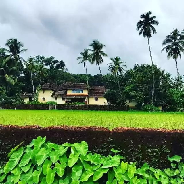 Photo of Udupi - Blessed by n