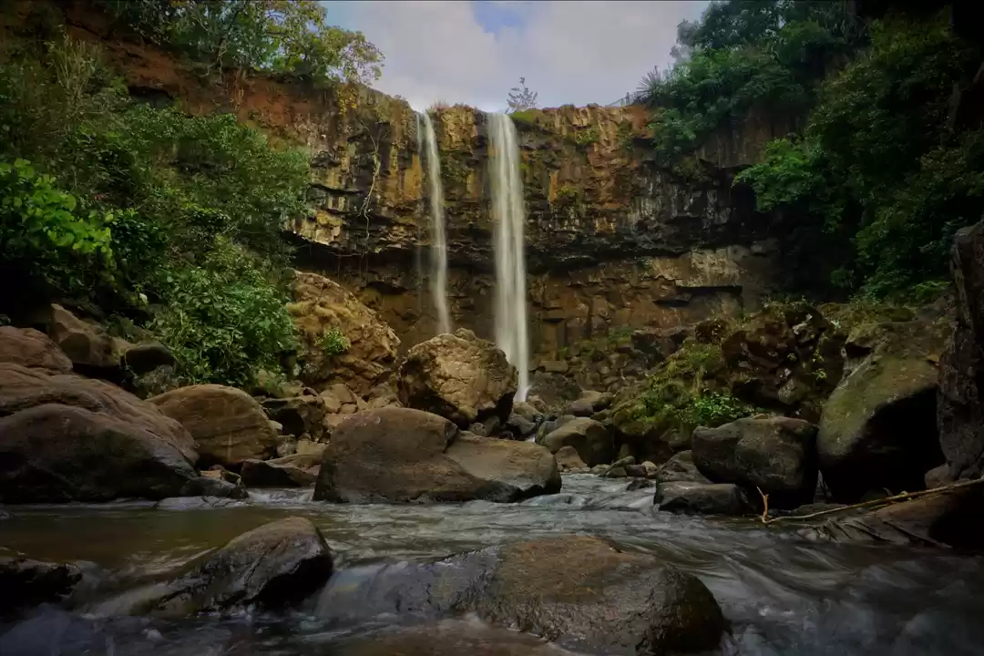 Photo of THE FALL OF GROWTH