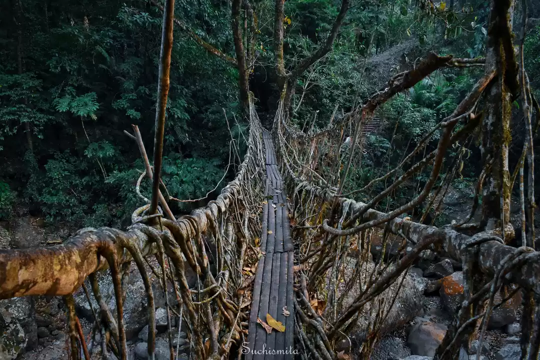 Photo of Where the clouds dwe