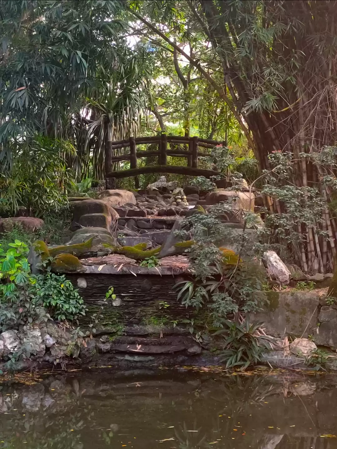 Photo of A Nostalgic Garden