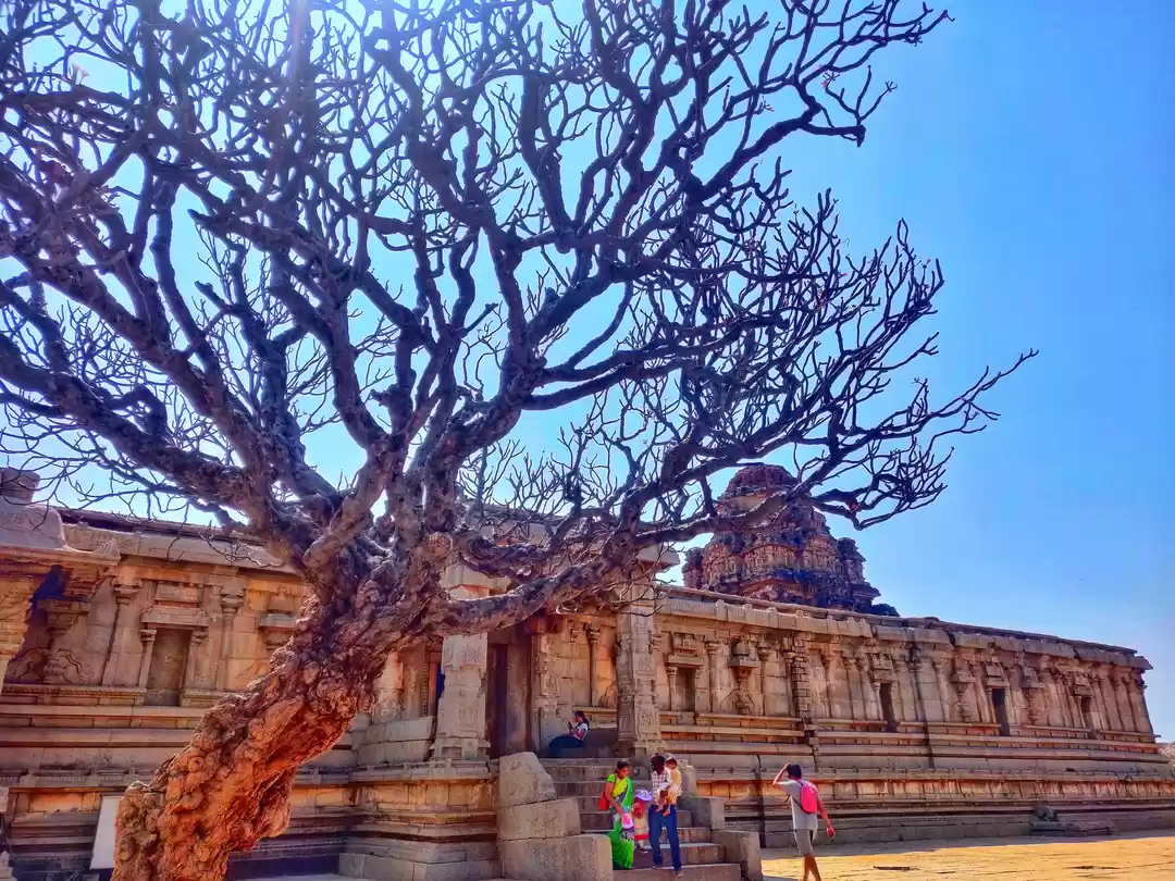 Photo of Hampi - Bustling rui