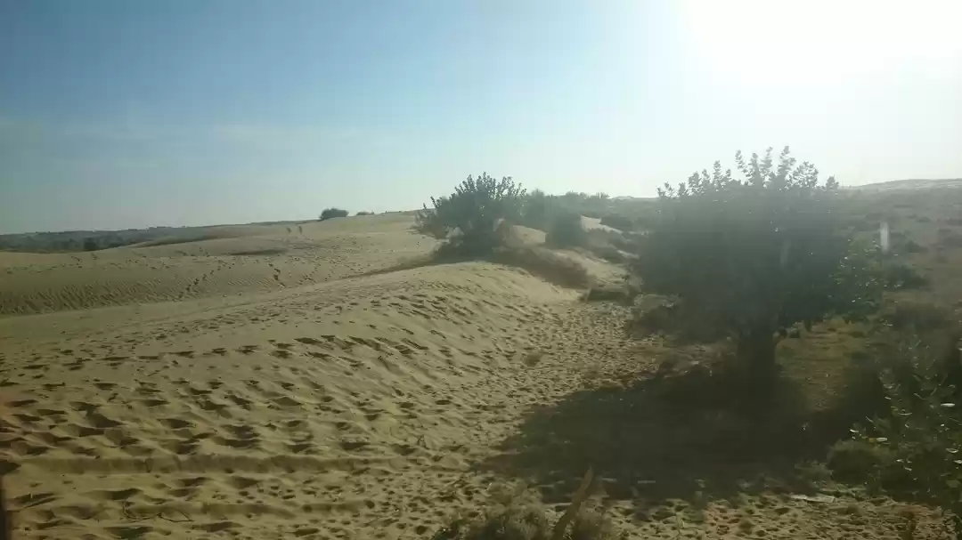 Photo of Get a taste of unfo