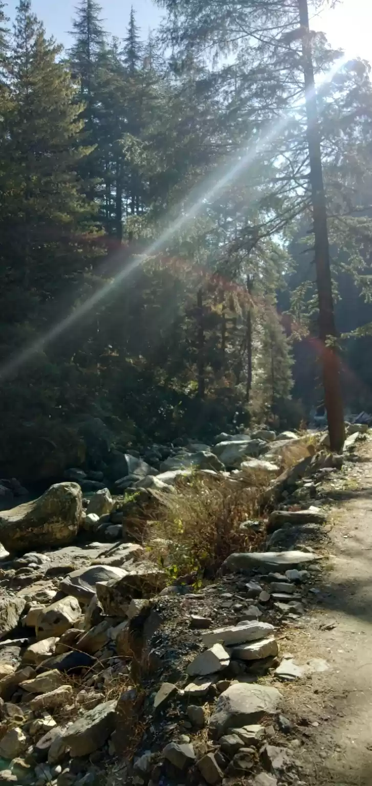 Photo of The hidden jewel of 