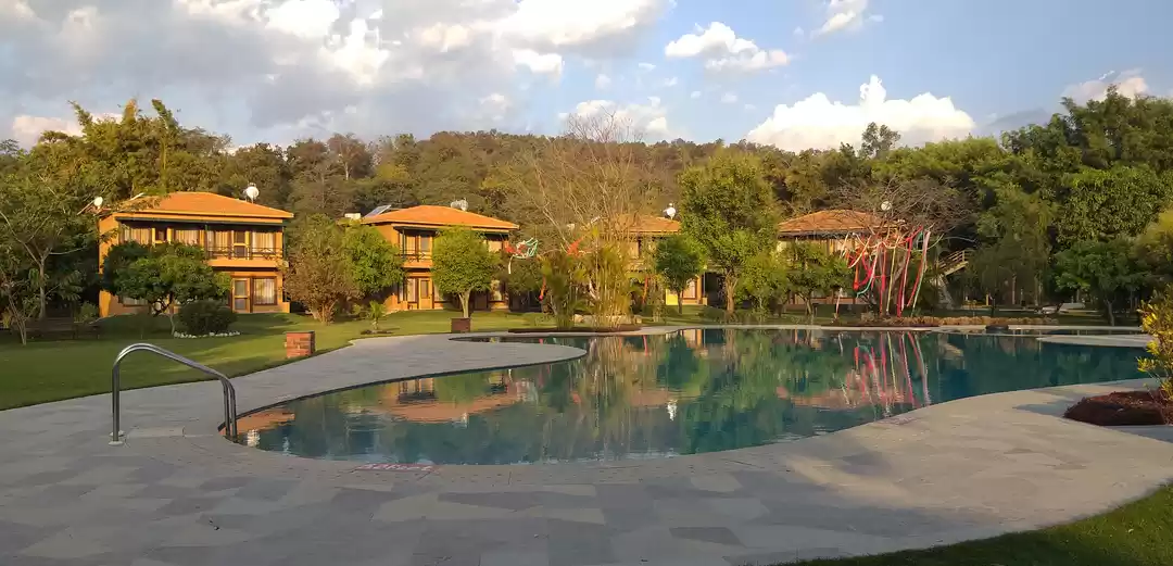 Photo of Soaking in Nature - 