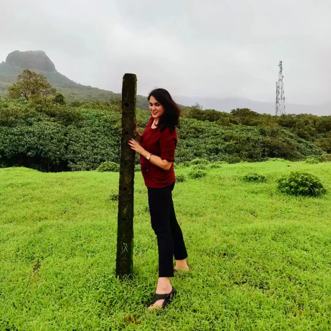 Photo of Aamby Valley in mons