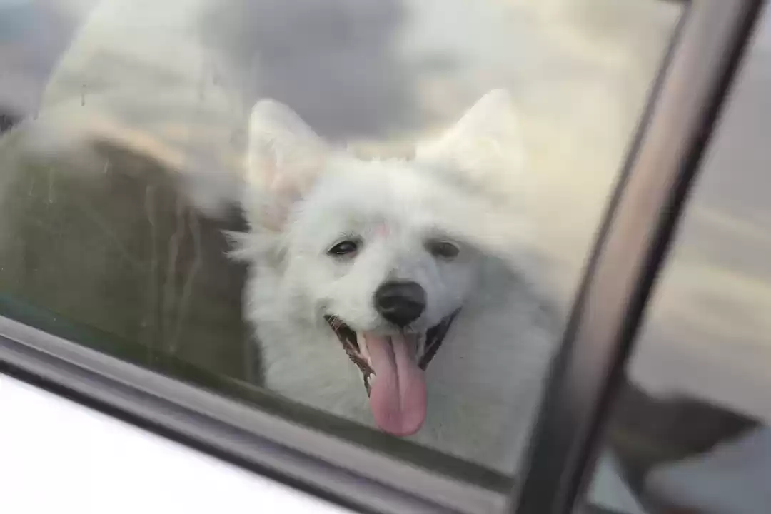 Photo of Road tripping with m