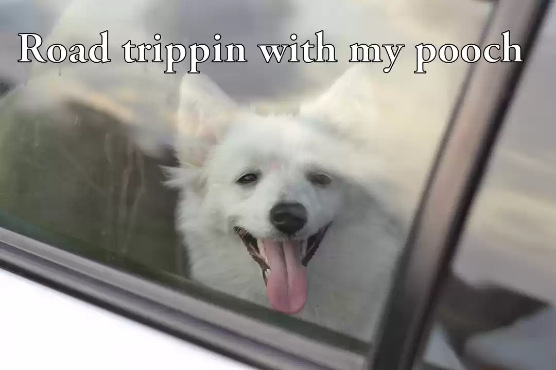 Photo of Road tripping with m