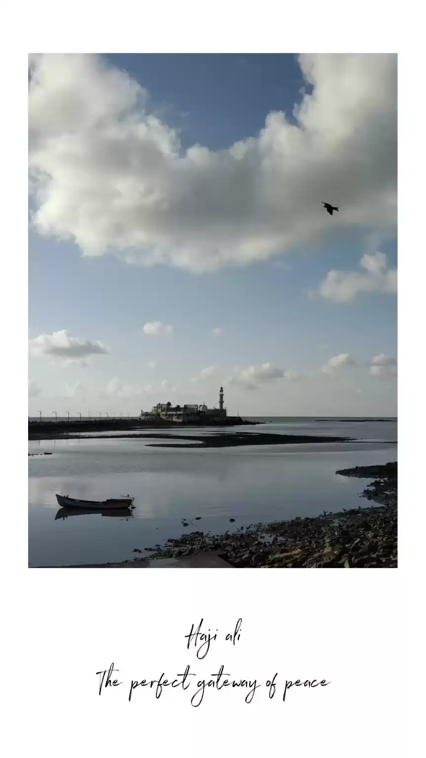 Photo of Getting lost in chao