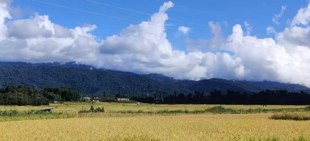 Photo of Ziro Festival of Mus