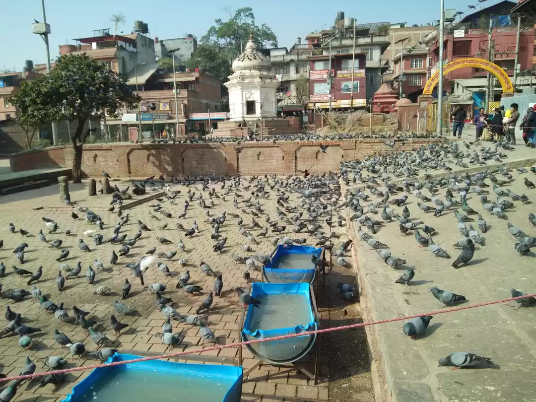 Photo of दिलकश पहाड़, मनमोहक न