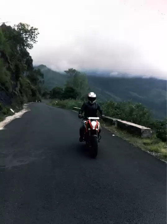 Photo of Kodaikanal mushroom 