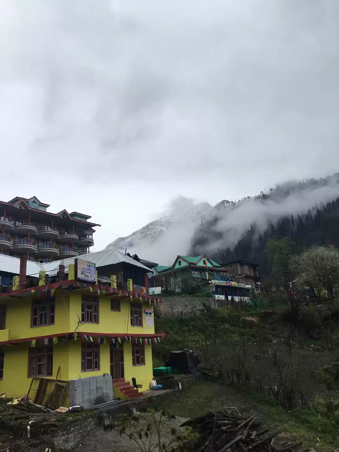 Photo of Tosh Himachal Prades