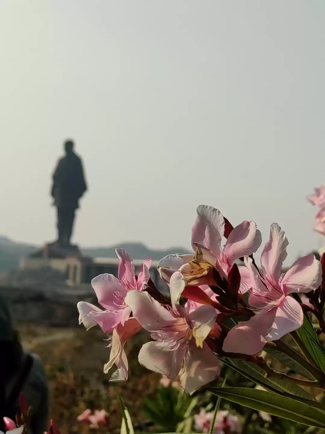 Photo of A day trip to statue