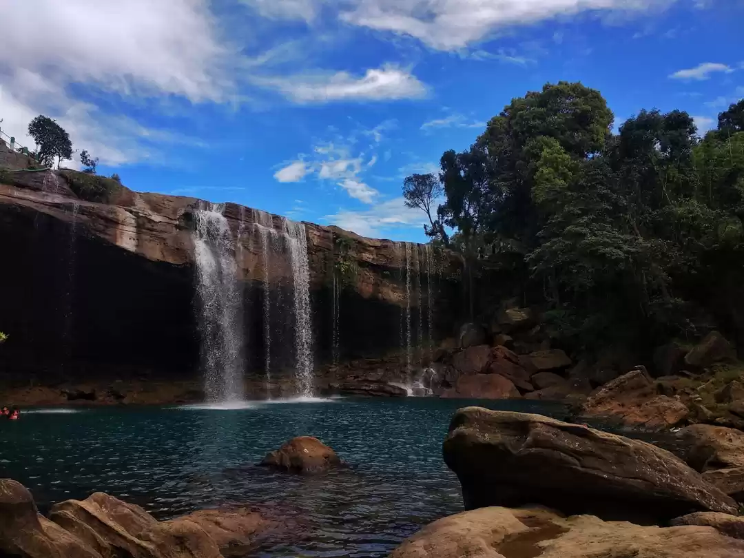 Photo of Krang suri- the visu