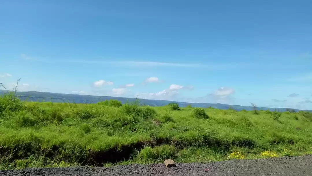 Photo of Kaas Plateau