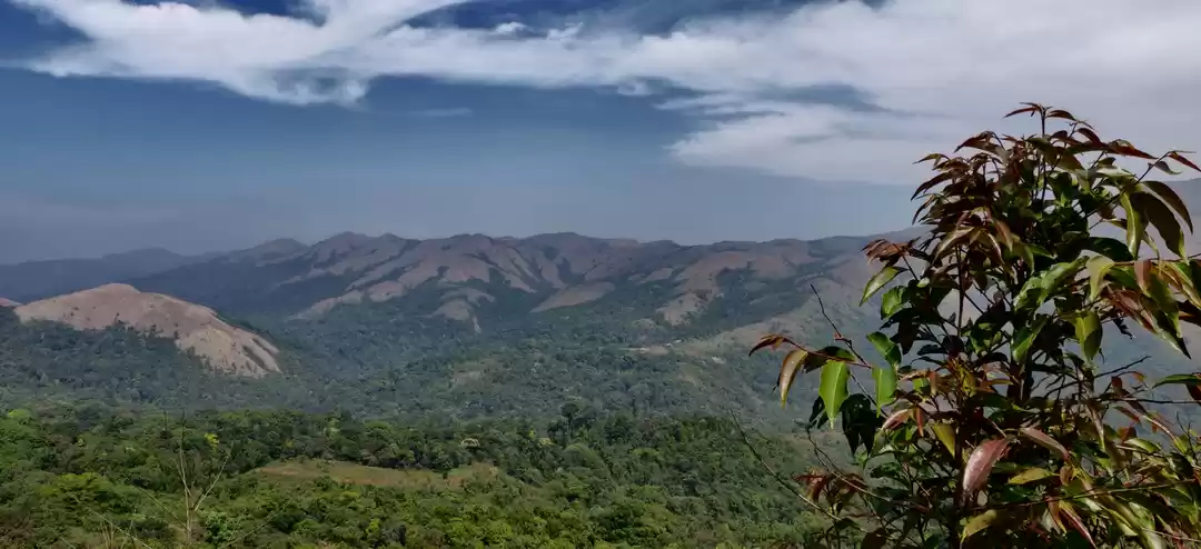 Photo of Mandalpatti peak