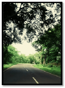 Photo of NH222: A Highway To 