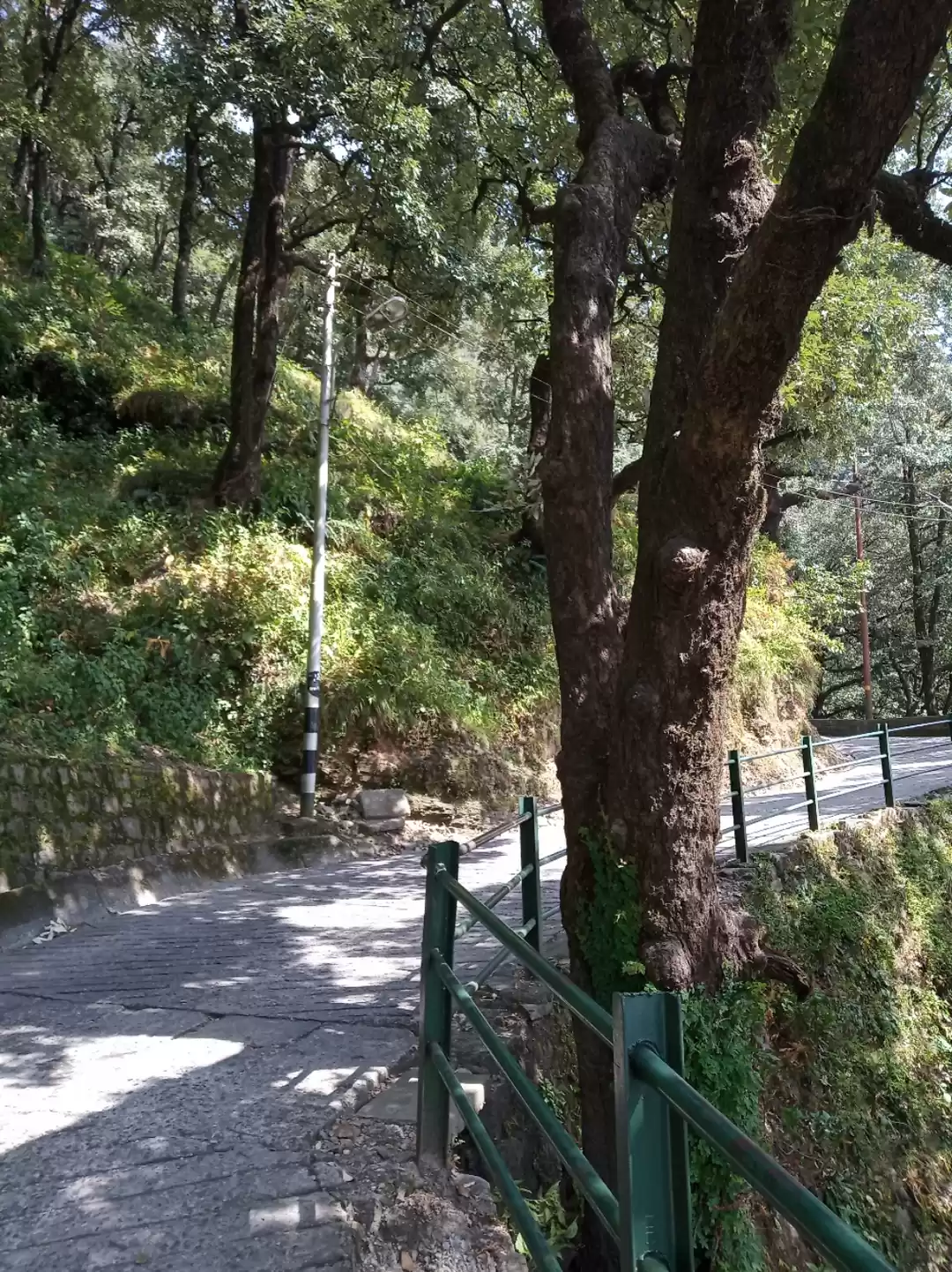 Photo of Lal Tibba Hiking