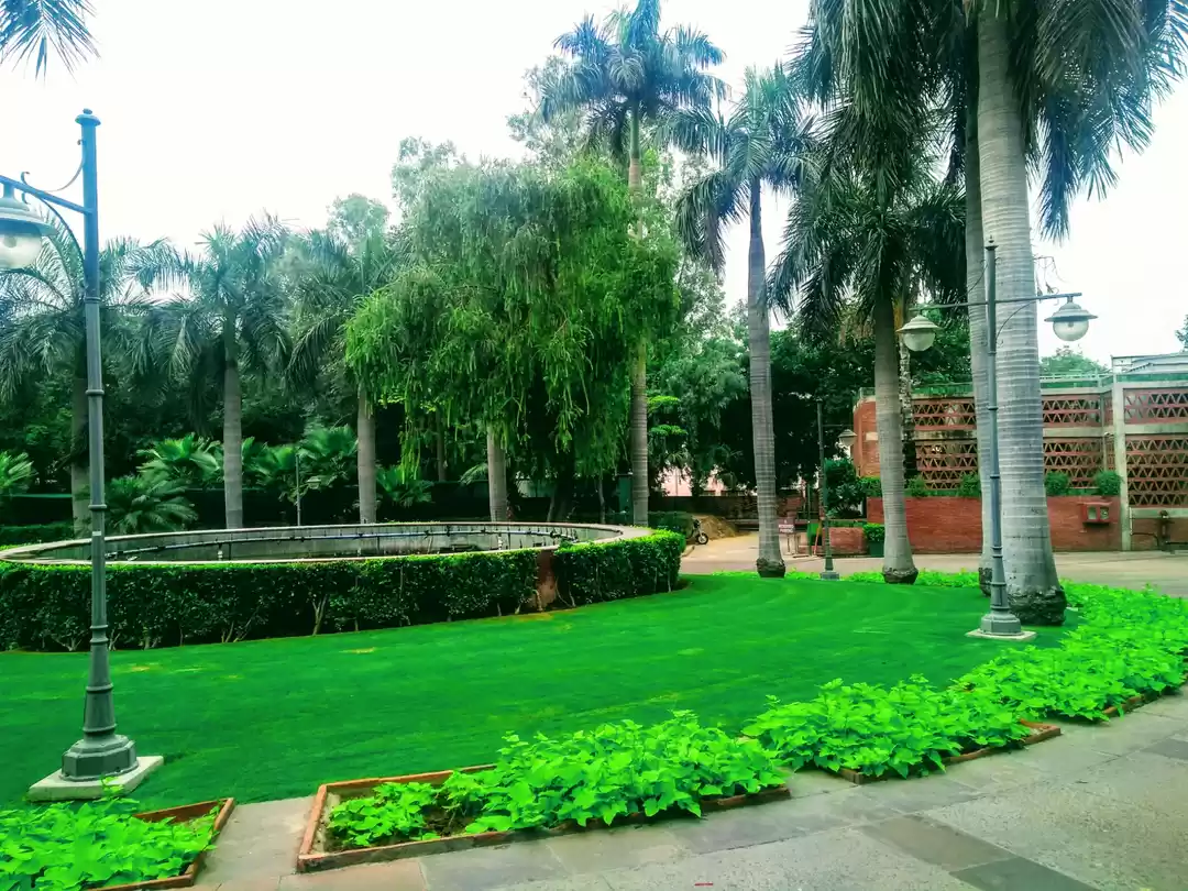 Photo of the habitat as a cen