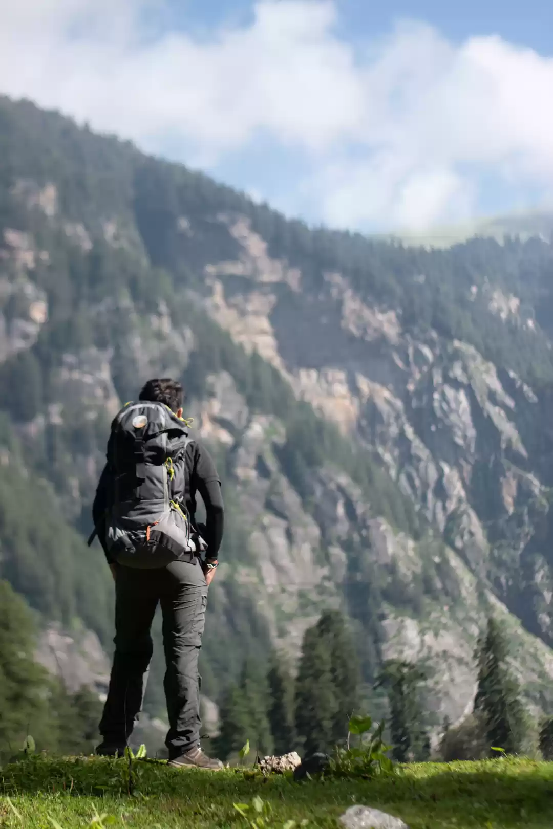 Photo of Meadows and Mountain