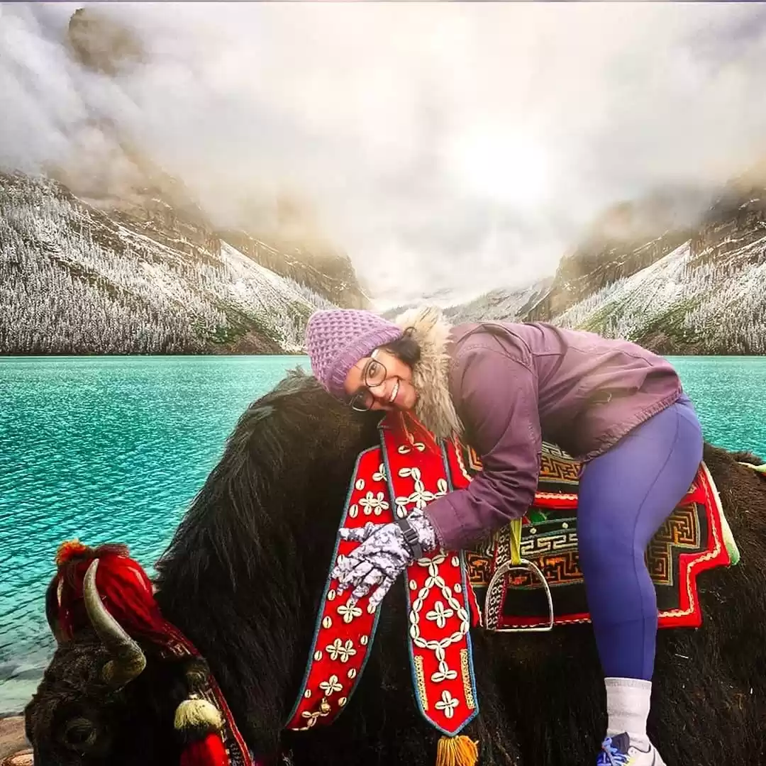 Photo of Meet Serai the Yak!