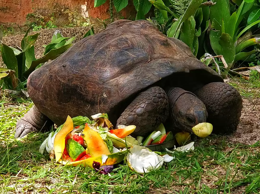 Photo of La Digue, Seychelles
