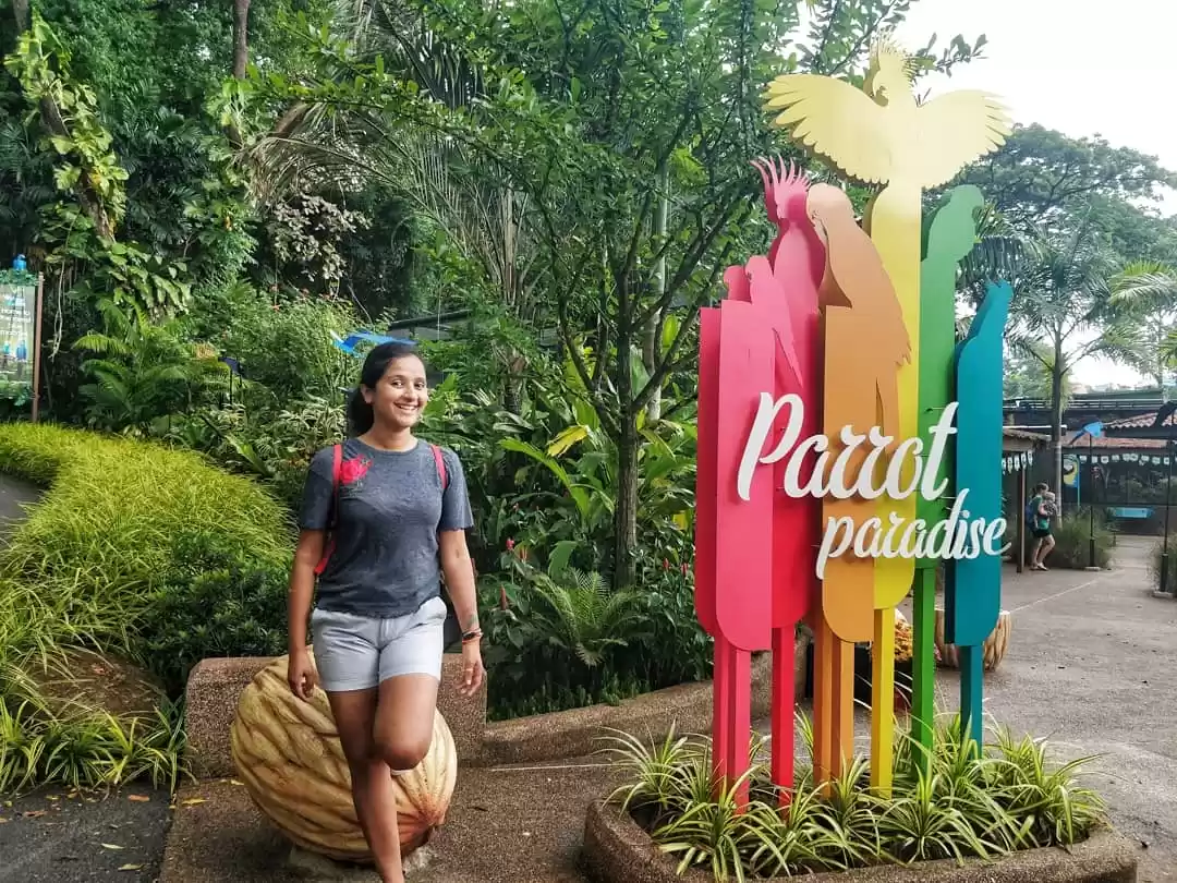 Photo of Singapore: A year ro