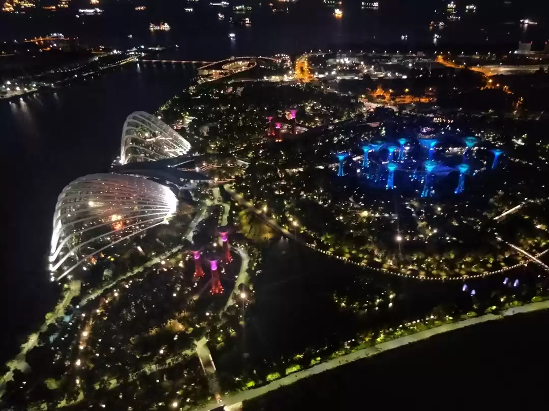 Photo of Singapore Essentials