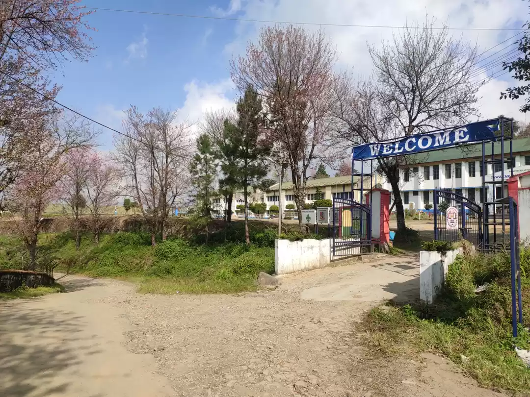 Photo of Why to go Japan when