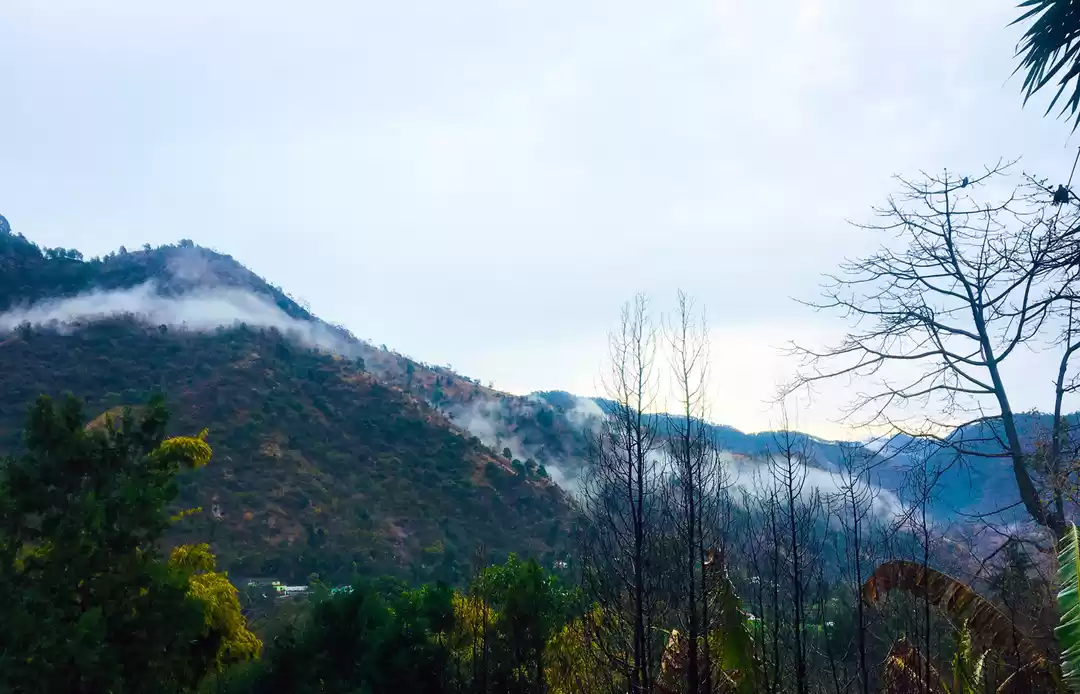 Photo of The Cottage by OpenS